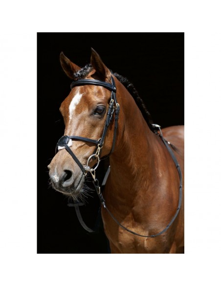 HKM Bridle Mexican Style with padded...