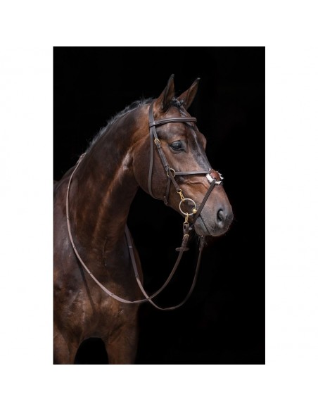 HKM Bridle Mexican Style with padded...