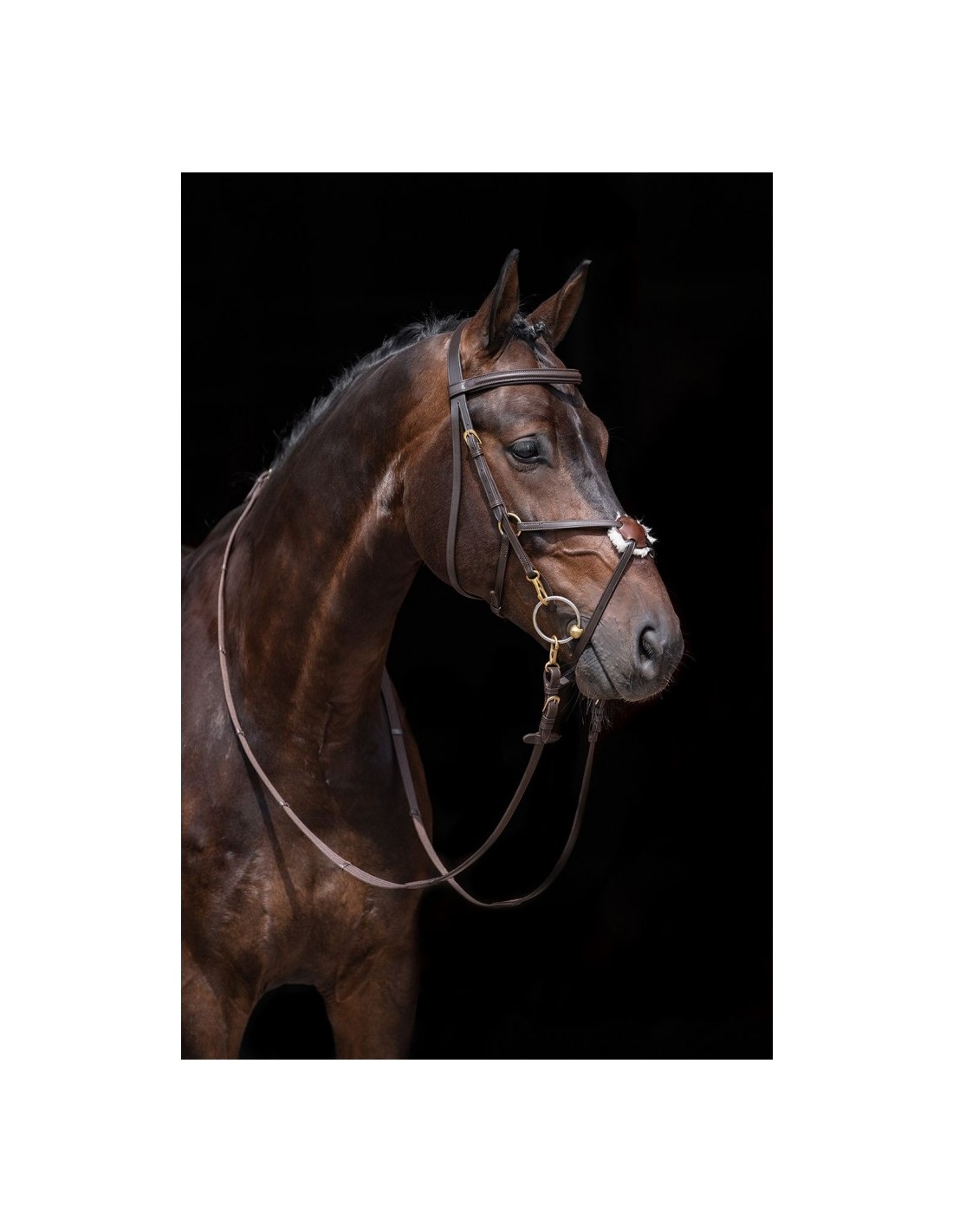 Hkm Horse Bridle Mexican Style with Lambskin Padding 