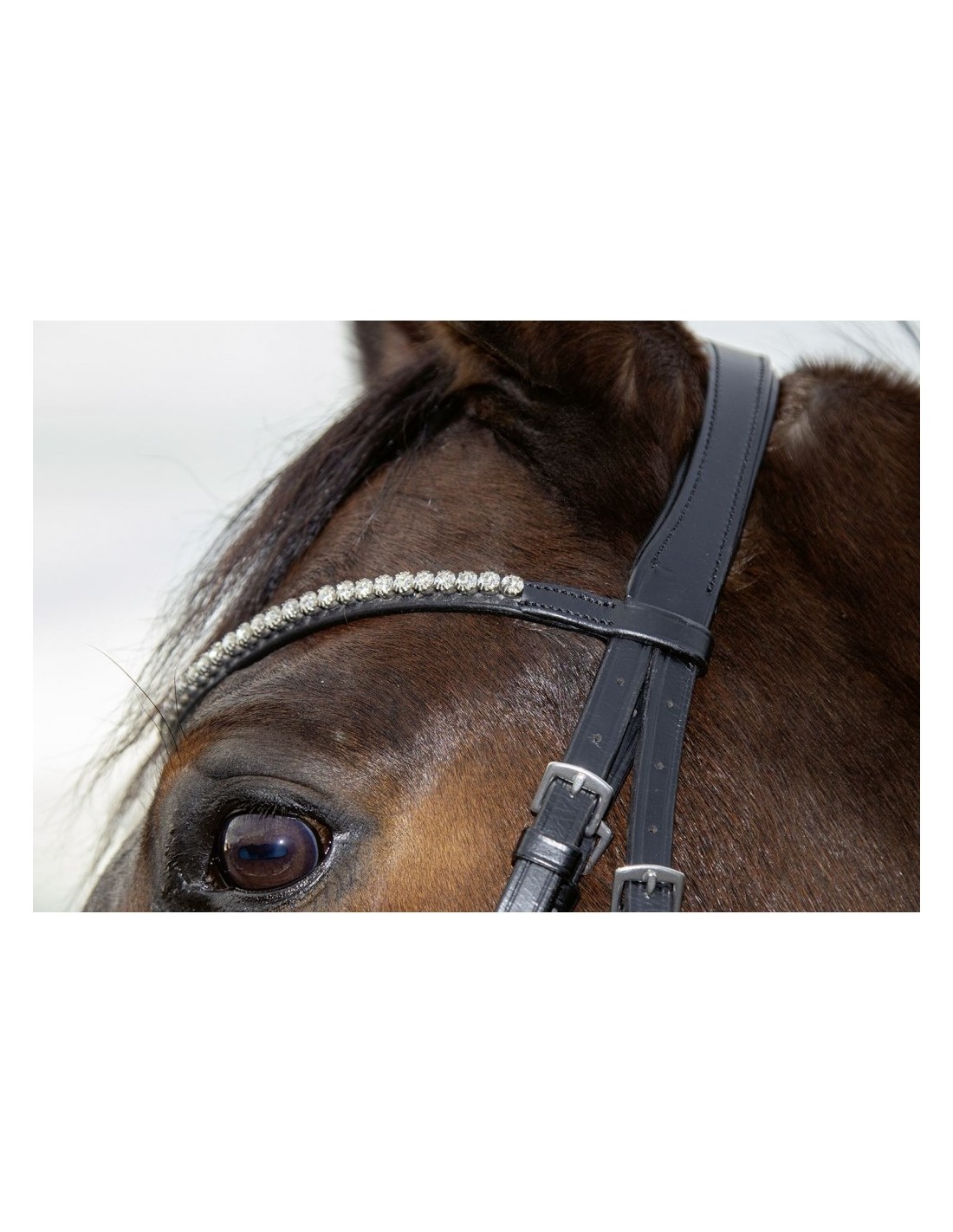 HKM Glitter leather Browband 
