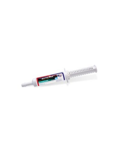 Comprar online Buteless Paste 3 dose syringe -...