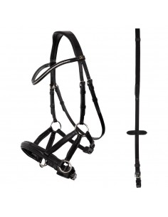 BR Bridle Lewes Side & Pull