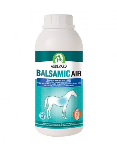 Comprar online Balsamic Air Audevard 500ml
