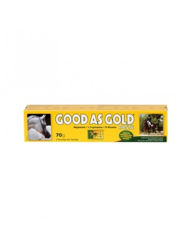 Comprar online GOOD AS GOLD 1 jeringa de 70g