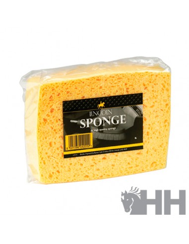 Comprar online LINCOLN Horse Sponge Care