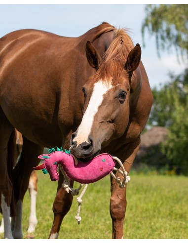 Comprar online QHP Horse Toy