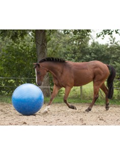 QHP Horse football