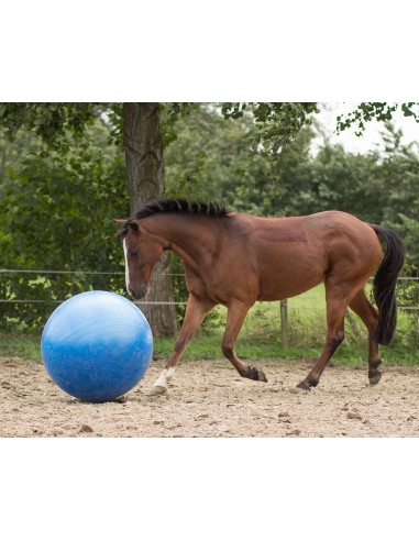 Grande pelota de juego pelota caballo caballos juego pelota de goma caballos juguetes para 