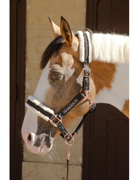 HARCOUR Halter and Lead Rope Holly...
