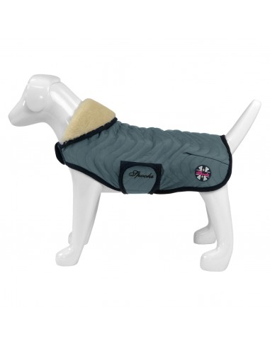 Comprar online SPOOKS Dog Coat Classic