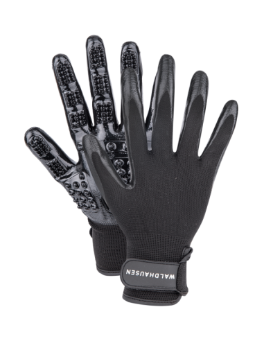 Comprar online Waldhausen Grooming and Cleaning Glove