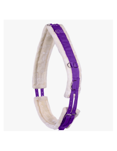 Comprar online Lunging girth QHP Ontario