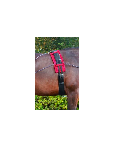 Comprar online QHP Lunging/harness pad
