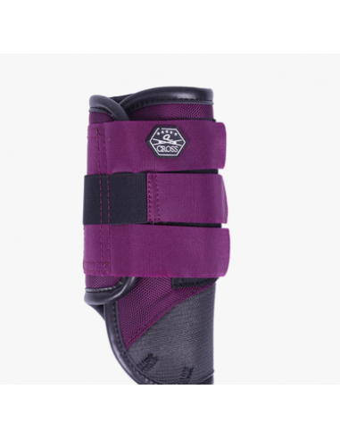 Comprar online Eventing Boots Front Leg Technical QHP