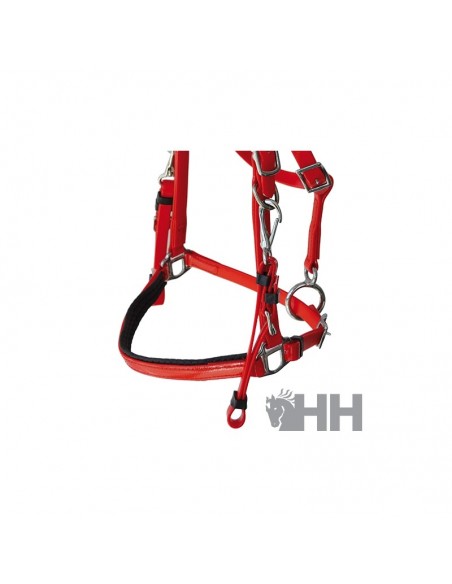 Lexhis Endurance Synthetic Bridle