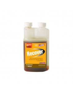 Recover 500ml for horses