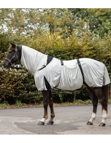Comprar online WALDHAUSEN Eczema Rug for horses