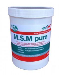 MSM 100% PURE 1kg for horses
