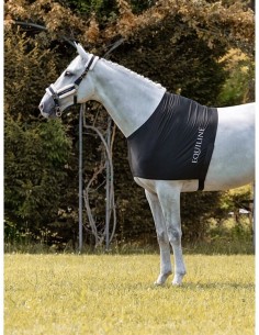 EQUILINE Protective Under...
