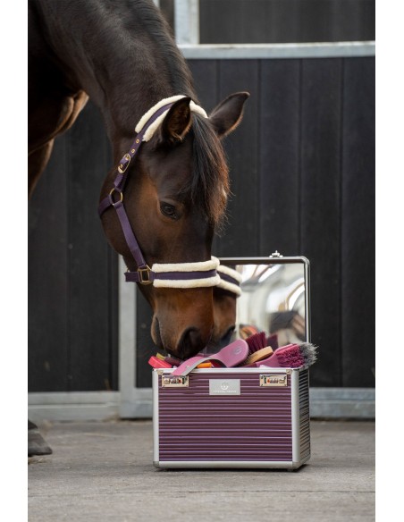 IMPERIAL RIDING Grooming Box Shiny -...