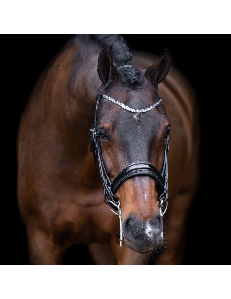 Imperial Riding Weymouth bridle Olympia