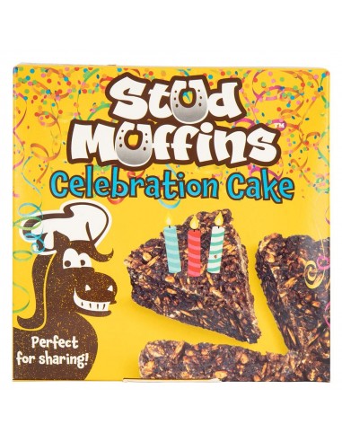 Comprar online Pastel de cumpleaños Stud Muffins...