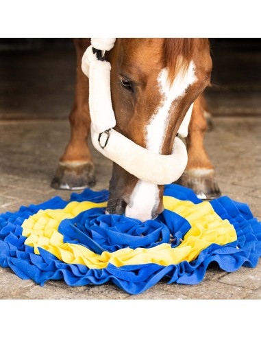 Comprar online QHP Snuffle mat for horses