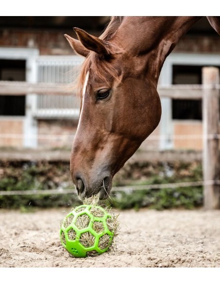 Waldhausen Horse Hay Ball