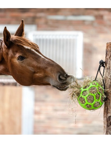 Waldhausen Horse Hay Ball