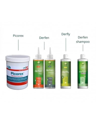 Comprar online Kit anti eczema Derfen + Picorex