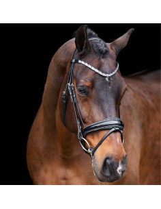 Imperial Riding bridle Olympia