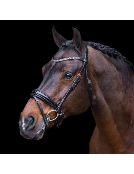 Imperial Riding bridle Olympia