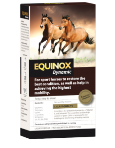 EQUINOX Dynamic for optimal...