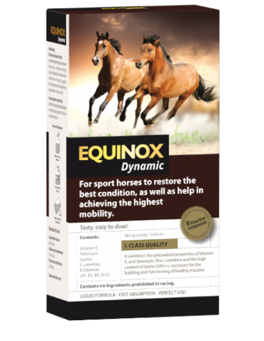 Comprar online EQUINOX Dynamic funcionamiento muscular