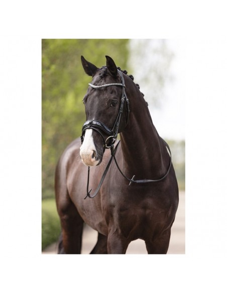 ANKY® Bridle Comfort Fit Double...