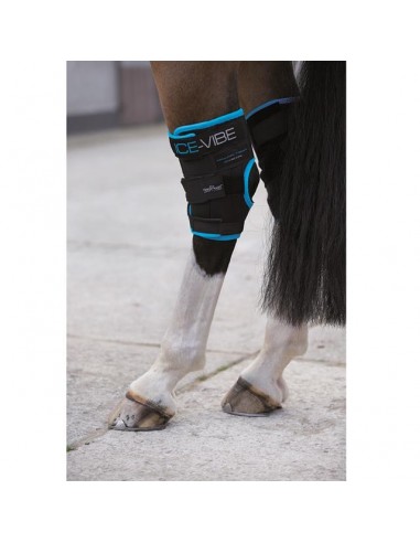 Comprar online Protectores Horseware Ice-Vibe Pack...