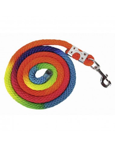 Lead rope Multicolor