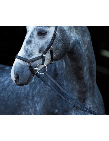 Comprar online RAMBO Micklem Competition Bridle Reins