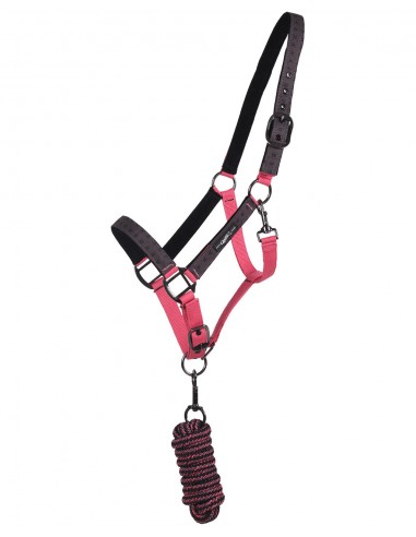 QHP Head Collar Set with Turnout...