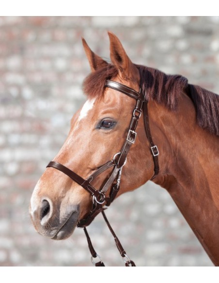 STAR Two Bitless Bridle