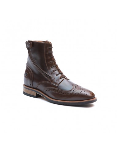 Comprar online Chester Vienna Pull Up Brown Ankle boots