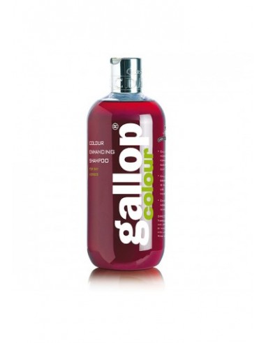 Comprar online Shampoo GALLOP Colour Enhancing BAY