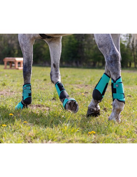 Eventing Boots Hind Leg Technical QHP