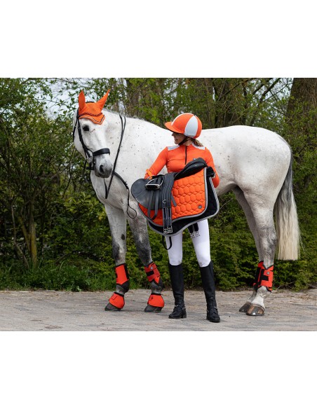 Eventing Boots Front Leg Technical QHP