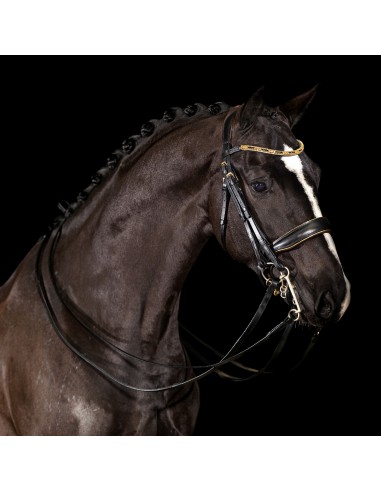 Comprar online Mrs. Ros Double Bridle Imperial Gold