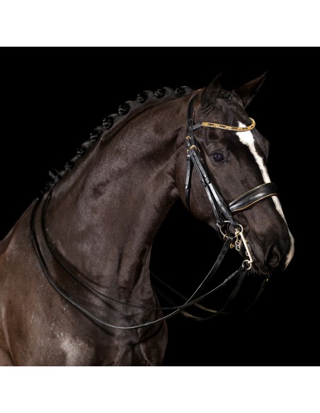 Mrs. Ros Double Bridle Imperial Gold